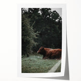 Rustic Cow in Meadow Wall Art – Farmhouse Animal Nature Decor Print