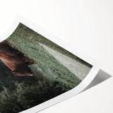 Rustic Cow in Meadow Wall Art – Farmhouse Animal Nature Decor Print