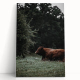 Rustic Cow in Meadow Wall Art – Farmhouse Animal Nature Decor Print