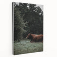 Rustic Cow in Meadow Wall Art – Farmhouse Animal Nature Decor Print