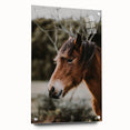 Rustic Horse Portrait Wall Art for Farmhouse and Nature-Inspired Decor