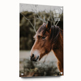 Rustic Horse Portrait Wall Art for Farmhouse and Nature-Inspired Decor
