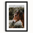 Rustic Horse Portrait Wall Art for Farmhouse and Nature-Inspired Decor