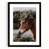 Rustic Horse Portrait Wall Art for Farmhouse and Nature-Inspired Decor