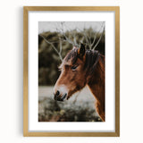 Rustic Horse Portrait Wall Art for Farmhouse and Nature-Inspired Decor