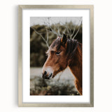 Rustic Horse Portrait Wall Art for Farmhouse and Nature-Inspired Decor