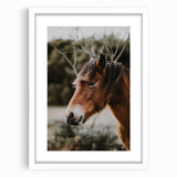 Rustic Horse Portrait Wall Art for Farmhouse and Nature-Inspired Decor