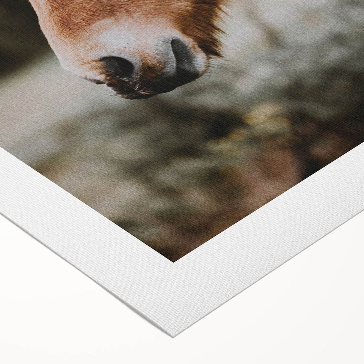 Rustic Horse Portrait Wall Art for Farmhouse and Nature-Inspired Decor