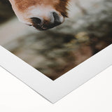 Rustic Horse Portrait Wall Art for Farmhouse and Nature-Inspired Decor