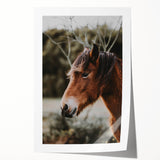 Rustic Horse Portrait Wall Art for Farmhouse and Nature-Inspired Decor