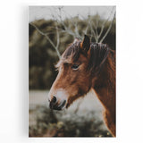 Rustic Horse Portrait Wall Art for Farmhouse and Nature-Inspired Decor