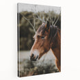 Rustic Horse Portrait Wall Art for Farmhouse and Nature-Inspired Decor