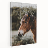 Rustic Horse Portrait Wall Art for Farmhouse and Nature-Inspired Decor