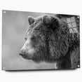 Black bear wall art design displayed in a sleek acrylic frame, showcasing a side view with polished pins highlighting its vibrant colors and intricate details. Perfect for nature enthusiasts and modern home decor.