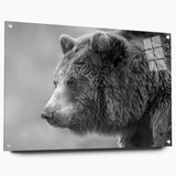 Black bear wall art design displayed in a sleek acrylic frame, showcasing a side view with polished pins highlighting its vibrant colors and intricate details. Perfect for nature enthusiasts and modern home decor.