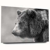 Acrylic wall art featuring a minimalist black bear design with a sleek glass finish, displayed from a side view, perfect for modern home decor. Ideal for nature enthusiasts.