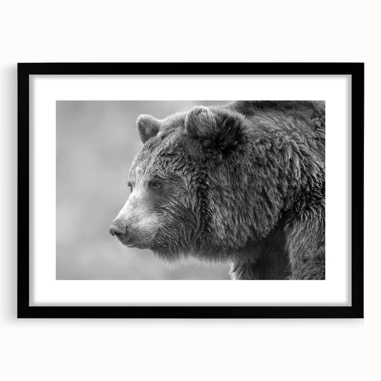 Framed black bear wall art featuring a detailed illustration, showcasing vibrant colors and a sleek black mat, perfect for nature-themed home decor.