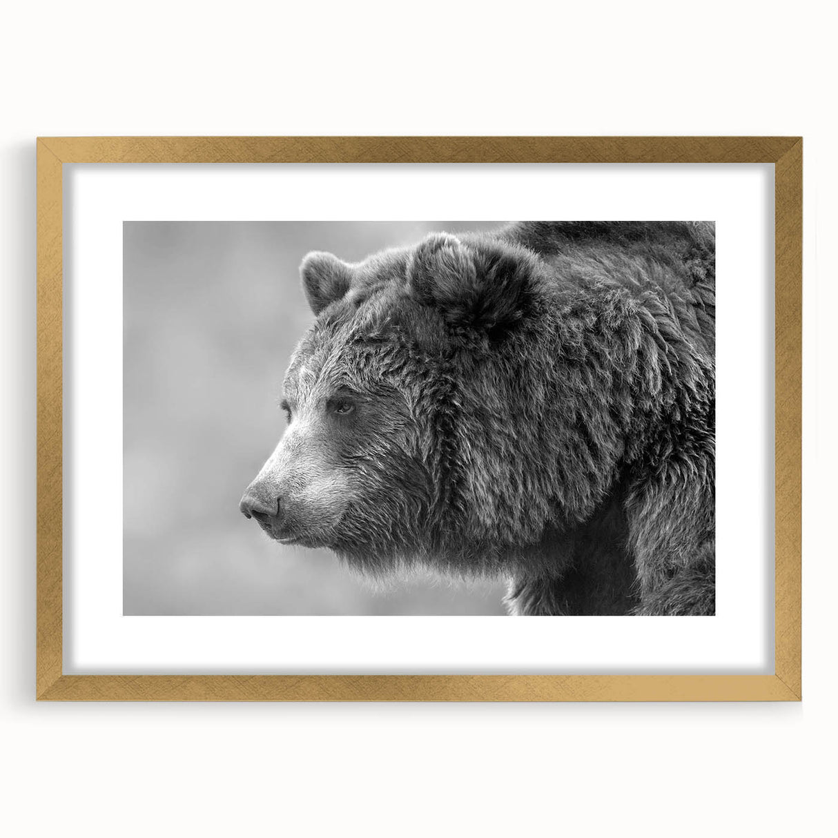 Framed black bear wall art design showcasing intricate details and a gold mat, perfect for nature-inspired decor in living spaces. Ideal for wildlife enthusiasts.