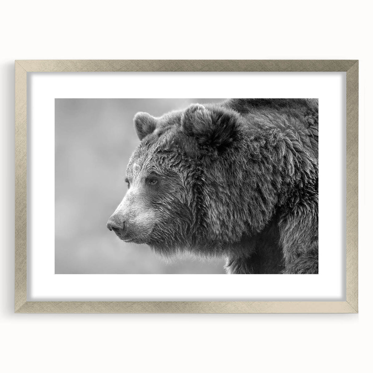 Black bear wall art in a stylish silver frame with matting, showcasing intricate design details and a modern aesthetic, perfect for nature lovers' decor.