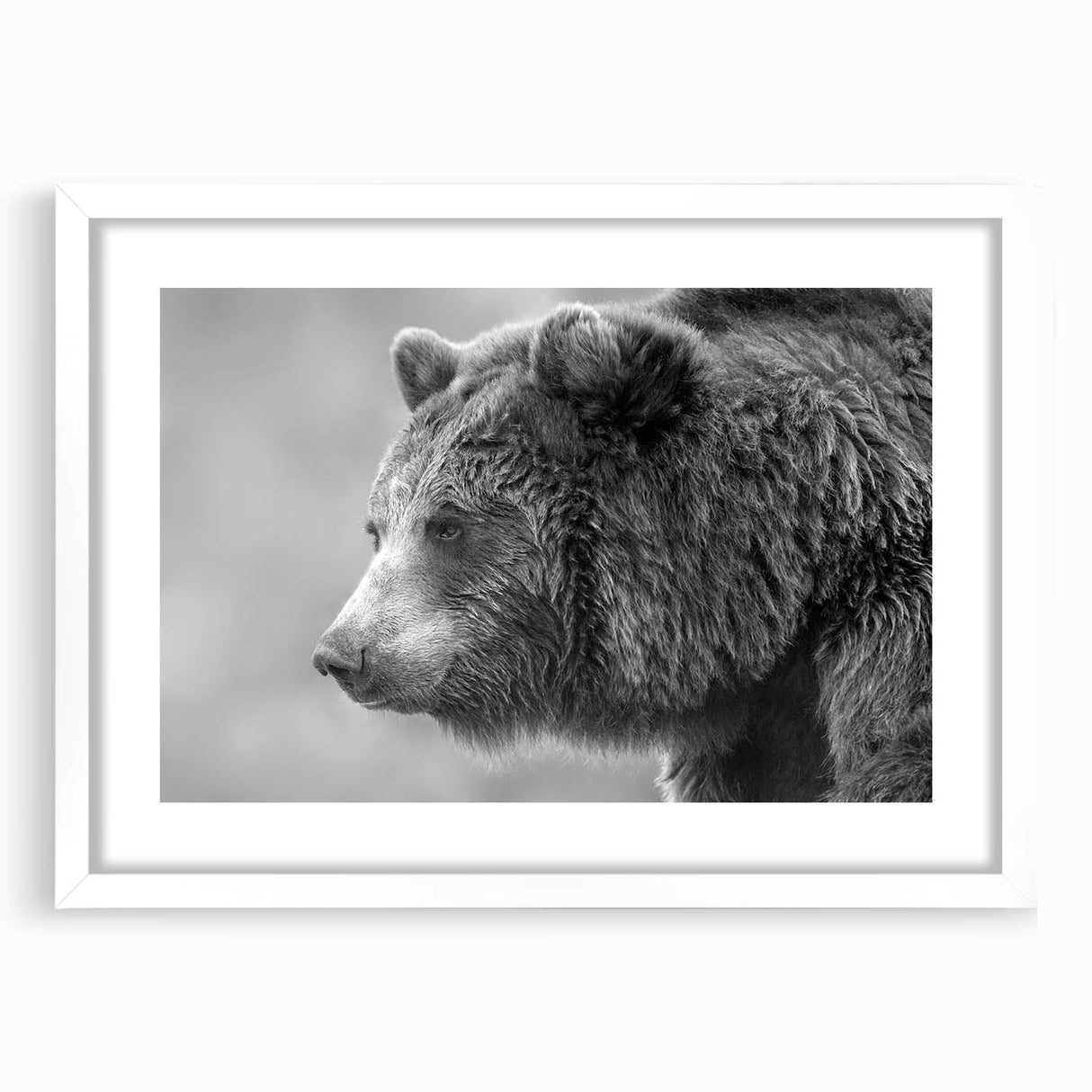 Framed wall art featuring a striking black bear design, set against a sleek white mat, ideal for nature-themed home decor. Perfect for animal lovers and rustic interiors.