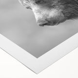 Black bear wall art design on rolled canvas, showcasing intricate fur details and natural colors, ideal for wildlife-themed decor and nature enthusiasts.