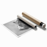 Black bear wall art print featuring a minimalist design, showcasing a striking silhouette against a white background, perfect for nature-inspired home decor.