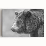 Black bear wall art on stretched canvas, showcasing intricate details and natural colors, perfect for wildlife enthusiasts and home decor. Ideal for creating a cozy ambiance.