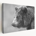 Stretched canvas wall art showcasing a beautifully designed black bear silhouette against a vibrant nature backdrop, ideal for wildlife and home decor enthusiasts. Perfect for adding a touch of nature-inspired elegance to any room.