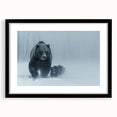 Black bear wall art collection framed with a mat, showcasing a striking front view design. Ideal for nature enthusiasts, this piece enhances rustic decor with its detailed portrayal of wildlife. Perfect for home or office settings.