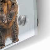 Close-up of a striking black bear acrylic wall art piece, showcasing intricate details and vibrant colors, perfect for wildlife enthusiasts and home decor.