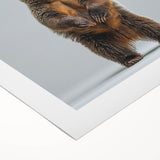 Black bear wall art design on rolled canvas, showcasing detailed fur texture and vibrant colors, ideal for nature enthusiasts and interior decor.