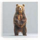 Black bear artwork on stretched canvas showcasing a detailed, realistic design, perfect for nature-themed decor. Ideal for animal lovers and art enthusiasts.