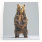 Black bear wall art design on stretched canvas, showcasing detailed fur texture and natural colors, perfect for nature-themed home decor or wildlife enthusiasts.