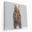 Stretched canvas wall art featuring a striking black bear design, showcasing intricate details and rich colors, perfect for nature-themed home decor.