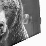 Close-up of a black bear wall art design featuring intricate details and vibrant colors, set against a sleek acrylic glass surface, ideal for home decor.