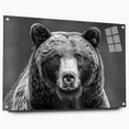 Black bear wall art design displayed on acrylic glass, showcasing a side view with pins for easy mounting. The artwork features vibrant colors and intricate details, perfect for wildlife enthusiasts and home decor.