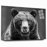 Black bear wall art design displayed in a sleek acrylic frame, showcasing intricate detailing and natural colors, ideal for wildlife decor enthusiasts.