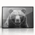 Framed black bear wall art displayed in a sleek acrylic frame, showcasing intricate design details and vibrant colors, perfect for wildlife enthusiasts and home decor.
