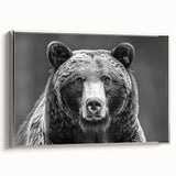 Framed canvas wall art showcasing a striking design of a black bear, elegantly displayed in a silver frame, ideal for nature-themed home decor, enhancing any living space.
