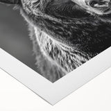 Black bear wall art design on rolled canvas, showcasing intricate details and vibrant colors, ideal for nature-themed decor or wildlife enthusiasts.