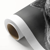 Black bear wall art design on rolled canvas showcasing intricate details and vibrant colors, perfect for nature-themed decor. Packaged securely in a cardboard tube for easy transport and display.