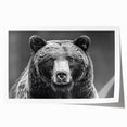 Black bear wall art print showcasing a detailed illustration of a majestic black bear on a natural background, perfect for nature lovers and home decor enthusiasts. This rolled print highlights the bear's features with rich colors and intricate design, ideal for adding a touch of wildlife charm to any space.