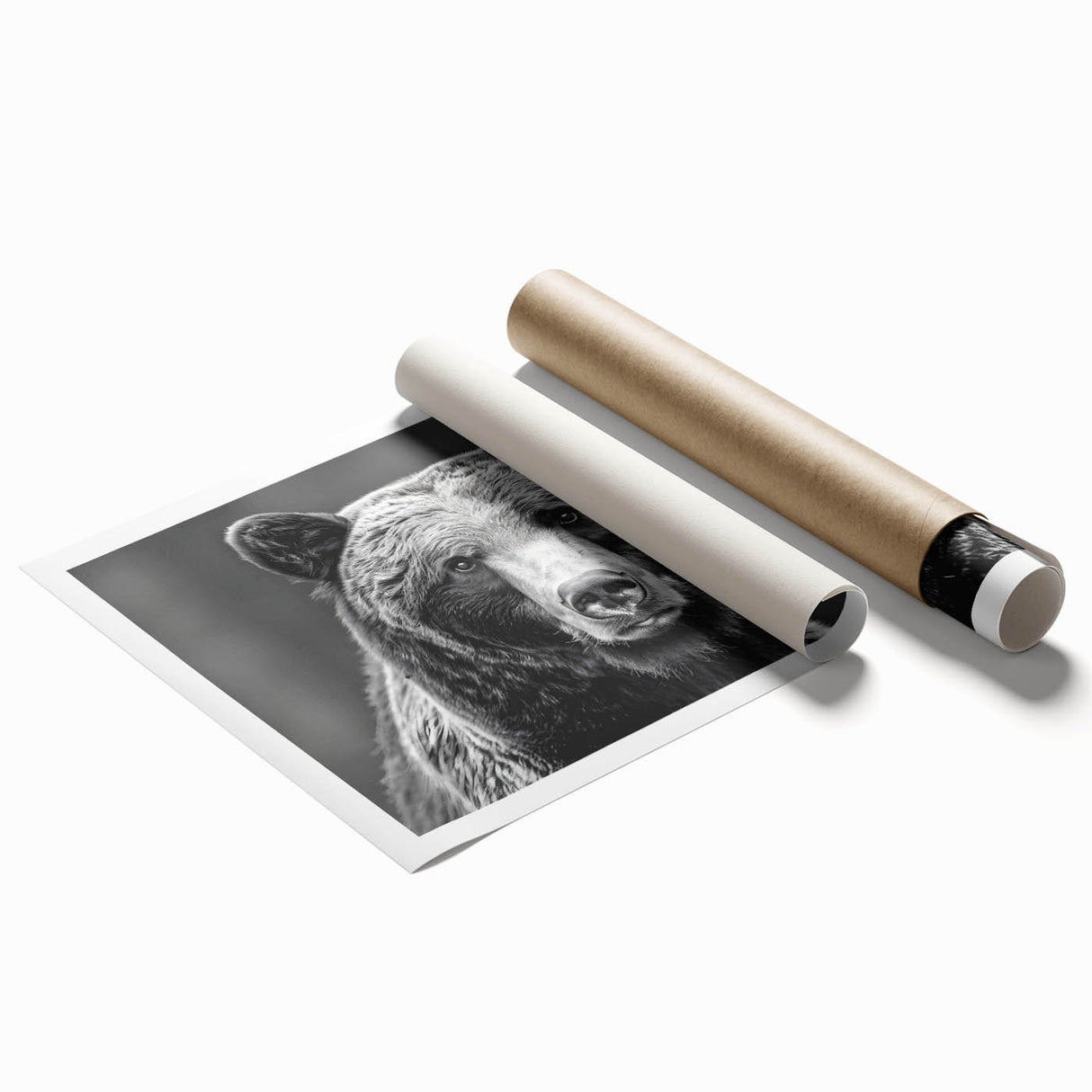 Black bear wall art print showcasing a detailed illustration of a bear in a natural forest setting, ideal for wildlife enthusiasts and home decor. This rolled print emphasizes the beauty of nature and is perfect for adding a rustic touch to any space.