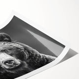 Black bear wall art print showcasing a striking design of a black bear in a natural setting, rolled and ready for framing, perfect for wildlife enthusiasts and home decor.