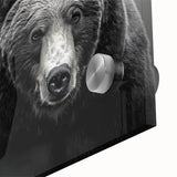 Close-up of a black bear wall art design featuring vibrant colors and intricate details, showcased on acrylic glass for a modern aesthetic. Ideal for nature lovers and wildlife enthusiasts.
