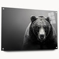 Black bear wall art design displayed in a sleek acrylic glass frame, showcasing intricate details and rich colors, perfect for nature-themed decor. Ideal for wildlife enthusiasts and collectors.