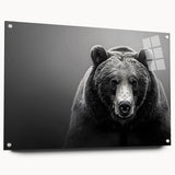 Black bear wall art design displayed in a sleek acrylic glass frame, showcasing intricate details and rich colors, perfect for nature-themed decor. Ideal for wildlife enthusiasts and collectors.