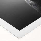 Black bear wall art design on rolled canvas, showcasing intricate details and vibrant colors, ideal for nature-themed home decor. Packaged securely for delivery.