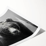 Stylish rolled print of a black bear design, showcasing intricate detailing and vibrant colors, perfect for enhancing home decor with nature-themed art.