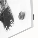 Close-up of a striking black bear wall art piece, featuring intricate detailing and vibrant colors on acrylic glass, ideal for nature-themed decor.